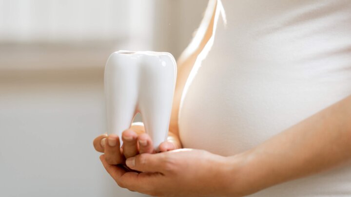 Schwangere hält vor ihrem Bauch einen großen Zahn in Ihren Händen